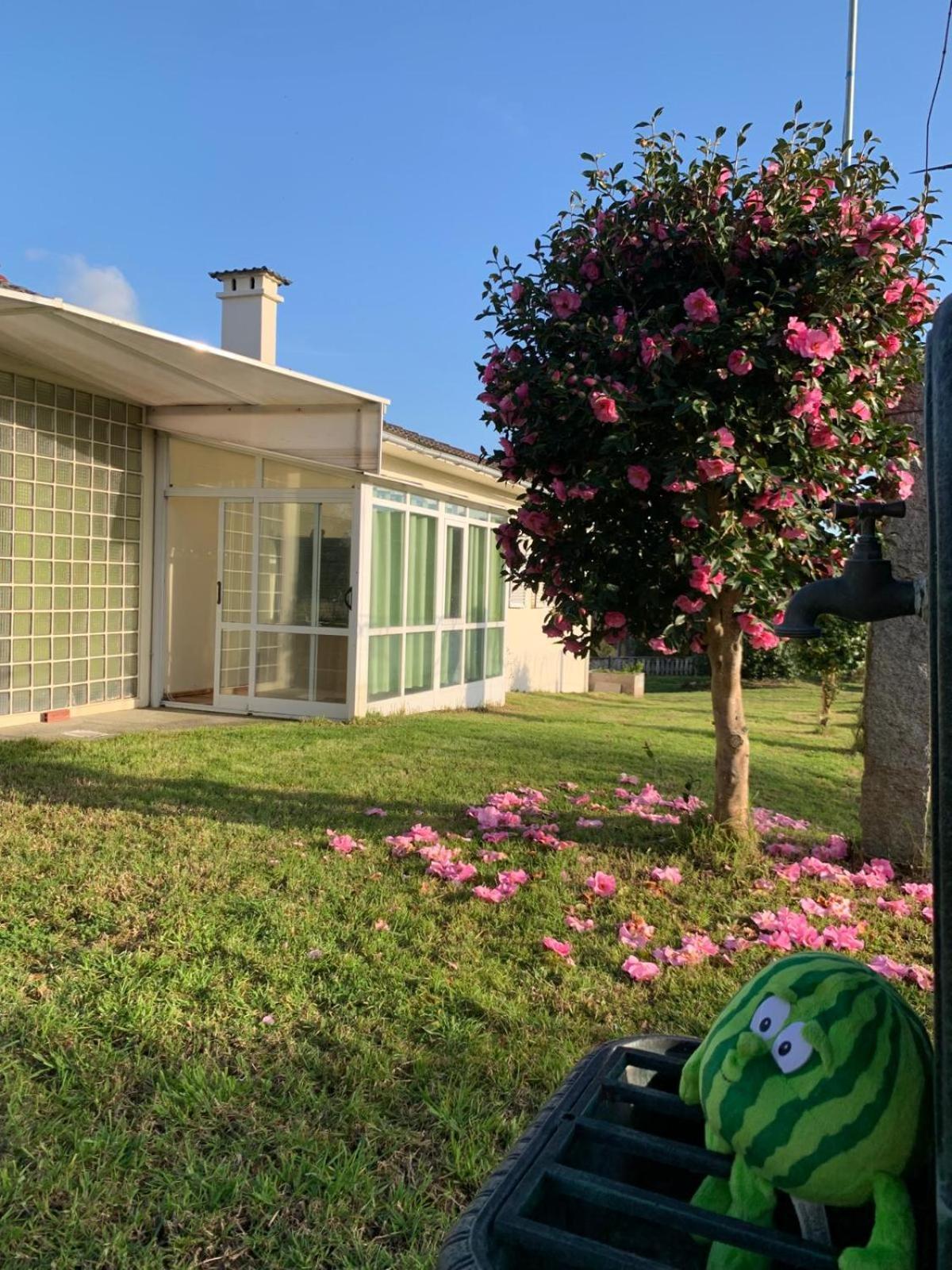 مبيت وإفطار A Casa De Abelleira بوينتيارياس المظهر الخارجي الصورة