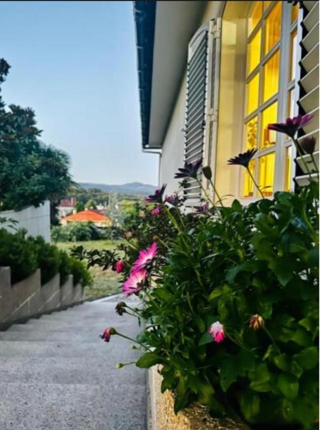 مبيت وإفطار A Casa De Abelleira بوينتيارياس المظهر الخارجي الصورة