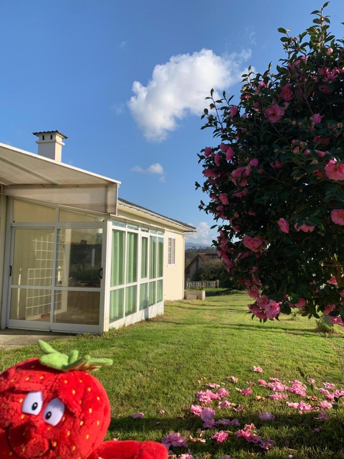 مبيت وإفطار A Casa De Abelleira بوينتيارياس المظهر الخارجي الصورة