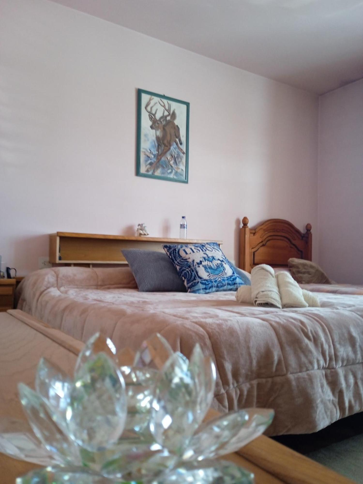 مبيت وإفطار A Casa De Abelleira بوينتيارياس المظهر الخارجي الصورة