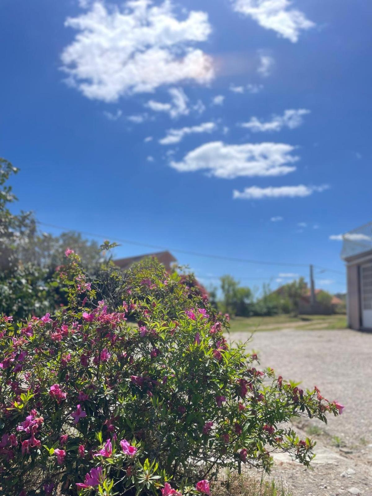 مبيت وإفطار A Casa De Abelleira بوينتيارياس المظهر الخارجي الصورة